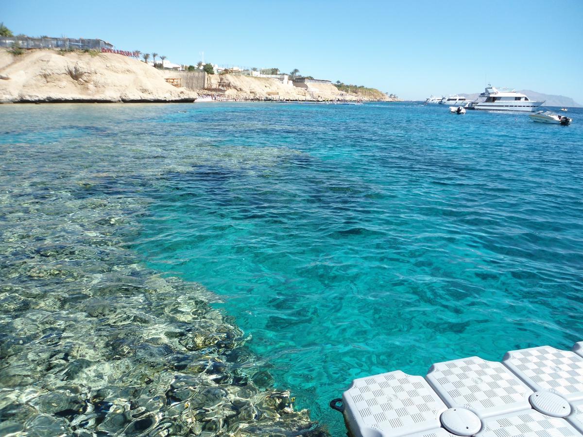 Sharks Bay Oasis Apartment Sharm el-Sheikh Ngoại thất bức ảnh