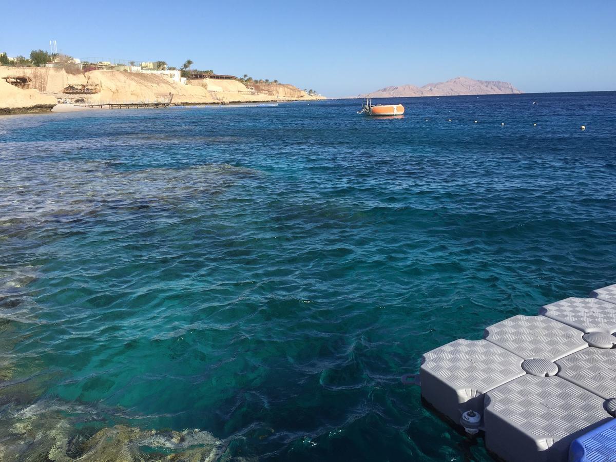 Sharks Bay Oasis Apartment Sharm el-Sheikh Ngoại thất bức ảnh
